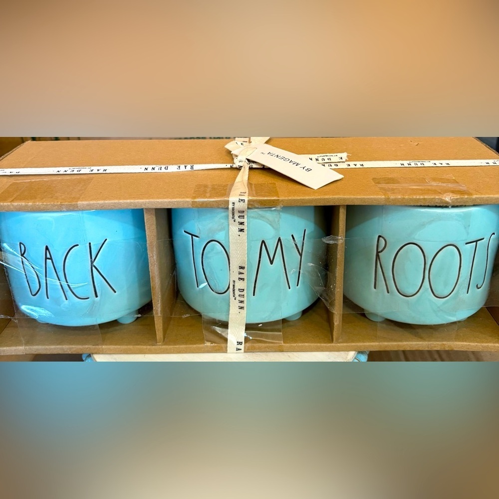 Rae Dunn Blue Ceramic Planter Set